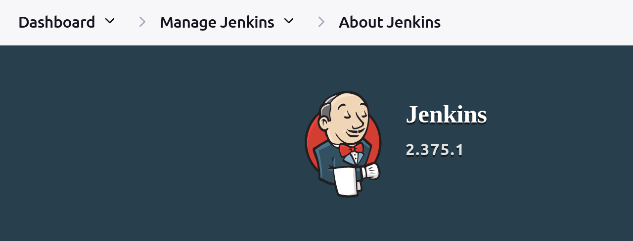 Checking Version of Updated Jenkins Instance